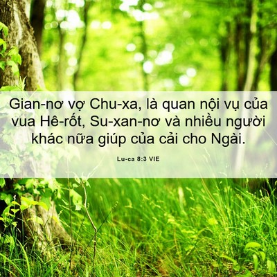 Picture 06 - Lu-ca 8:3 VIE - Gian-nơ vợ Chu-xa, là quan nội vụ của - Bible Verse Picture