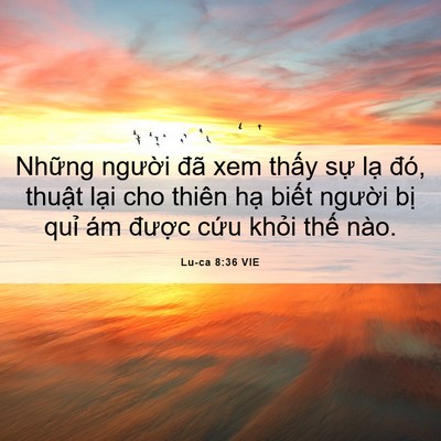 Picture 06 - Lu-ca 8:36 VIE - Những người đã xem thấy sự lạ đó, - Bible Verse Picture
