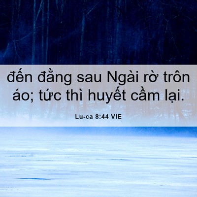 Picture 06 - Lu-ca 8:44 VIE - đến đằng sau Ngài rờ trôn áo; tức - Bible Verse Picture