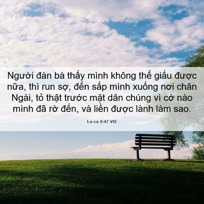 Picture 06 - Lu-ca 8:47 VIE - Người đàn bà thấy mình không thể - Bible Verse Picture