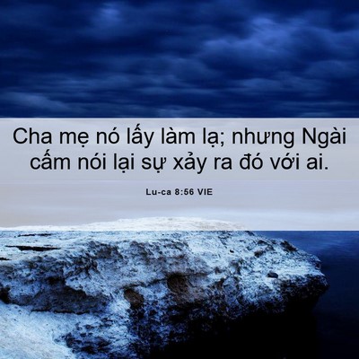 Picture 06 - Lu-ca 8:56 VIE - Cha mẹ nó lấy làm lạ; nhưng Ngài cấm - Bible Verse Picture