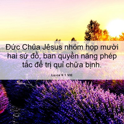 Picture 06 - Lu-ca 9:1 VIE - Đức Chúa Jêsus nhóm họp mười hai sứ - Bible Verse Picture