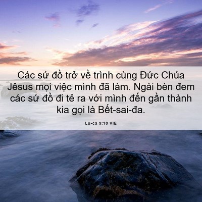 Picture 06 - Lu-ca 9:10 VIE - Các sứ đồ trở về trình cùng Đức - Bible Verse Picture