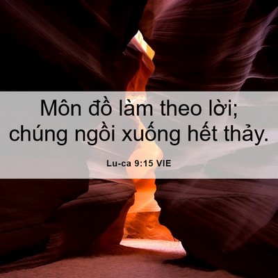 Picture 06 - Lu-ca 9:15 VIE - Môn đồ làm theo lời; chúng ngồi xuống - Bible Verse Picture