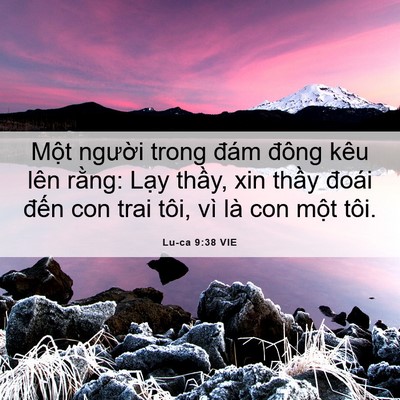 Picture 06 - Lu-ca 9:38 VIE - Một người trong đám đông kêu lên - Bible Verse Picture