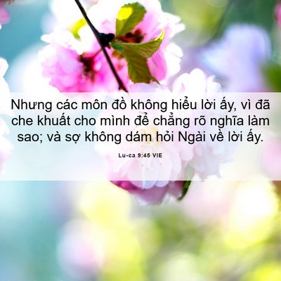 Picture 06 - Lu-ca 9:45 VIE - Nhưng các môn đồ không hiểu lời ấy, - Bible Verse Picture