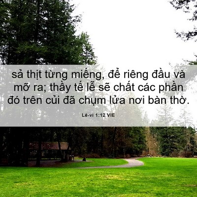 Picture 06 - Lê-vi 1:12 VIE - sả thịt từng miếng, để riêng đầu - Bible Verse Picture