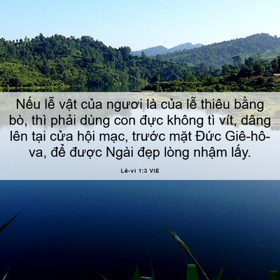 Picture 06 - Lê-vi 1:3 VIE - Nếu lễ vật của ngươi là của lễ - Bible Verse Picture