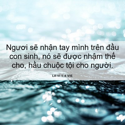 Picture 06 - Lê-vi 1:4 VIE - Ngươi sẽ nhận tay mình trên đầu con - Bible Verse Picture
