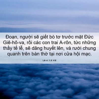 Picture 06 - Lê-vi 1:5 VIE - Đoạn, người sẽ giết bò tơ trước - Bible Verse Picture