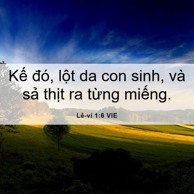 Picture 06 - Lê-vi 1:6 VIE - Kế đó, lột da con sinh, và sả thịt ra - Bible Verse Picture