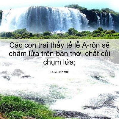 Picture 06 - Lê-vi 1:7 VIE - Các con trai thầy tế lễ A-rôn sẽ châm - Bible Verse Picture