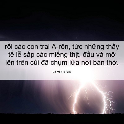 Picture 06 - Lê-vi 1:8 VIE - rồi các con trai A-rôn, tức những thầy - Bible Verse Picture