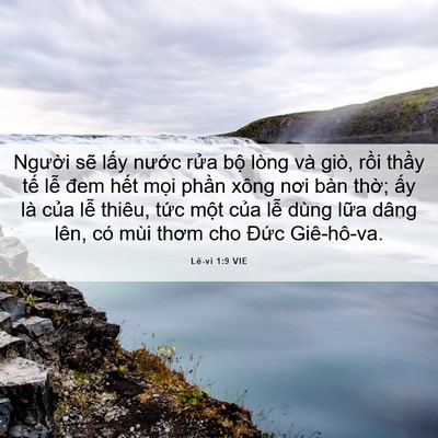 Picture 06 - Lê-vi 1:9 VIE - Người sẽ lấy nước rửa bộ lòng và - Bible Verse Picture