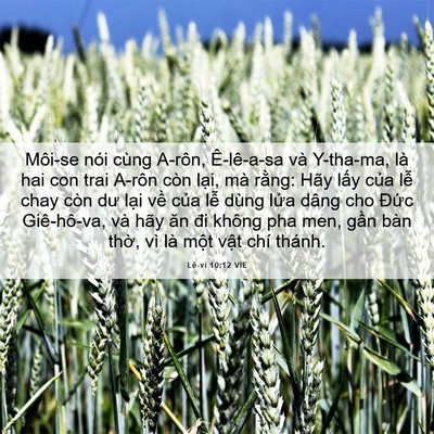 Picture 06 - Lê-vi 10:12 VIE - Môi-se nói cùng A-rôn, Ê-lê-a-sa và - Bible Verse Picture