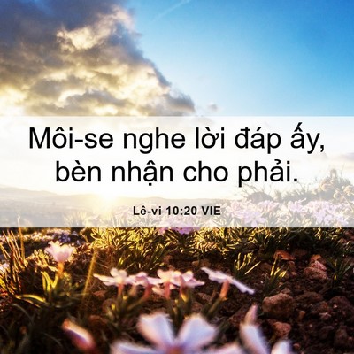 Picture 06 - Lê-vi 10:20 VIE - Môi-se nghe lời đáp ấy, bèn nhận cho - Bible Verse Picture