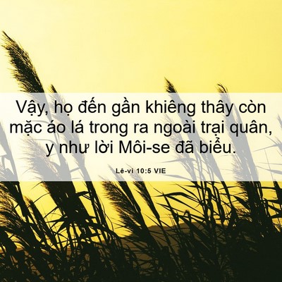 Picture 06 - Lê-vi 10:5 VIE - Vậy, họ đến gần khiêng thây còn mặc - Bible Verse Picture