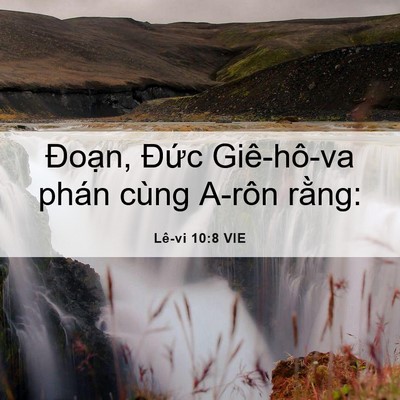 Picture 06 - Lê-vi 10:8 VIE - Đoạn, Đức Giê-hô-va phán cùng A-rôn - Bible Verse Picture