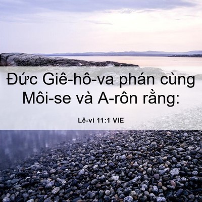 Picture 06 - Lê-vi 11:1 VIE - Đức Giê-hô-va phán cùng Môi-se và A-rôn - Bible Verse Picture