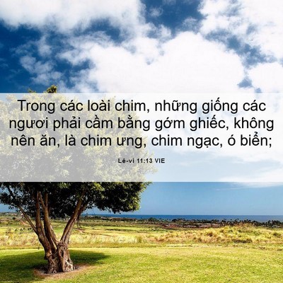 Picture 06 - Lê-vi 11:13 VIE - Trong các loài chim, những giống các - Bible Verse Picture