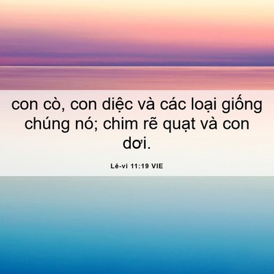 Picture 06 - Lê-vi 11:19 VIE - con cò, con diệc và các loại giống - Bible Verse Picture