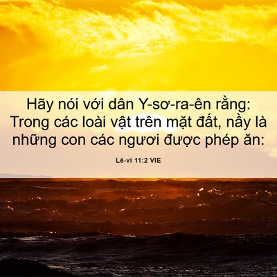 Picture 06 - Lê-vi 11:2 VIE - Hãy nói với dân Y-sơ-ra-ên rằng: Trong - Bible Verse Picture
