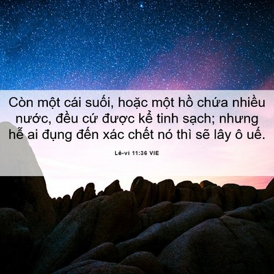 Picture 06 - Lê-vi 11:36 VIE - Còn một cái suối, hoặc một hồ chứa - Bible Verse Picture