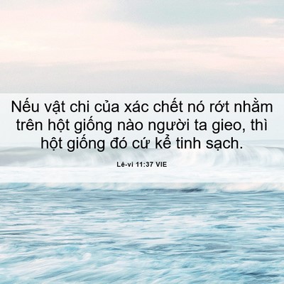 Picture 06 - Lê-vi 11:37 VIE - Nếu vật chi của xác chết nó rớt - Bible Verse Picture