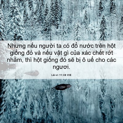 Picture 06 - Lê-vi 11:38 VIE - Nhưng nếu người ta có đổ nước trên - Bible Verse Picture