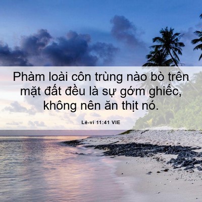 Picture 06 - Lê-vi 11:41 VIE - Phàm loài côn trùng nào bò trên mặt - Bible Verse Picture