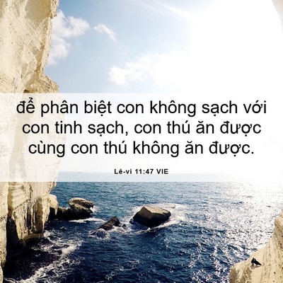 Picture 06 - Lê-vi 11:47 VIE - để phân biệt con không sạch với con - Bible Verse Picture