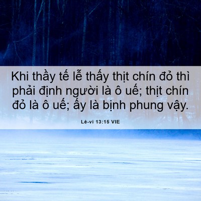 Picture 06 - Lê-vi 13:15 VIE - Khi thầy tế lễ thấy thịt chín đỏ - Bible Verse Picture