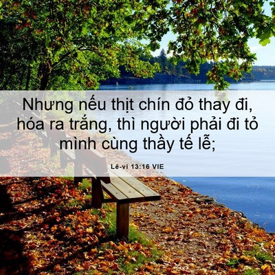 Picture 06 - Lê-vi 13:16 VIE - Nhưng nếu thịt chín đỏ thay đi, hóa ra - Bible Verse Picture