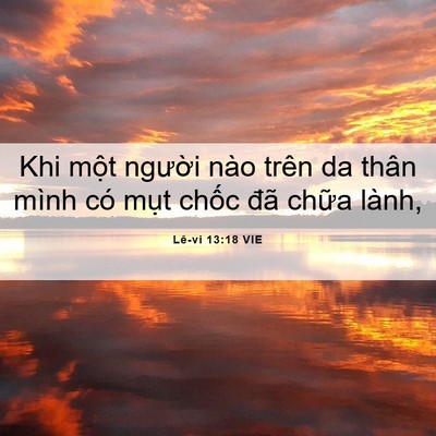 Picture 06 - Lê-vi 13:18 VIE - Khi một người nào trên da thân mình có - Bible Verse Picture
