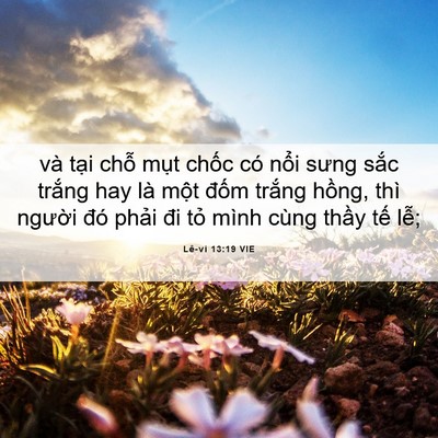 Picture 06 - Lê-vi 13:19 VIE - và tại chỗ mụt chốc có nổi sưng - Bible Verse Picture