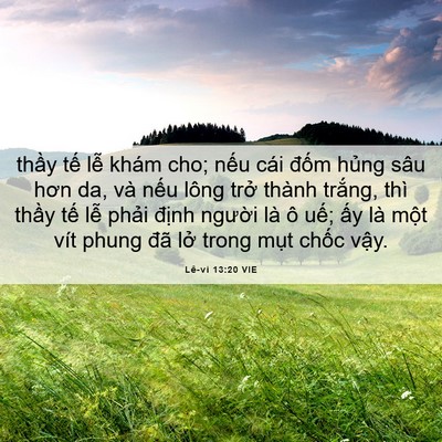 Picture 06 - Lê-vi 13:20 VIE - thầy tế lễ khám cho; nếu cái đốm - Bible Verse Picture