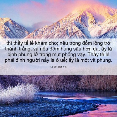 Picture 06 - Lê-vi 13:25 VIE - thì thầy tế lễ khám cho; nếu trong - Bible Verse Picture