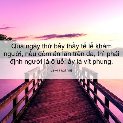 Picture 06 - Lê-vi 13:27 VIE - Qua ngày thứ bảy thầy tế lễ khám - Bible Verse Picture
