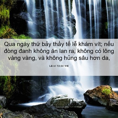 Picture 06 - Lê-vi 13:32 VIE - Qua ngày thứ bảy thầy tế lễ khám - Bible Verse Picture