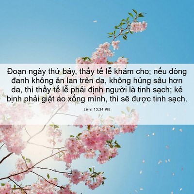 Picture 06 - Lê-vi 13:34 VIE - Đoạn ngày thứ bảy, thầy tế lễ khám - Bible Verse Picture