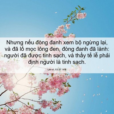Picture 06 - Lê-vi 13:37 VIE - Nhưng nếu đòng đanh xem bộ ngừng lại, - Bible Verse Picture