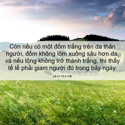 Picture 06 - Lê-vi 13:4 VIE - Còn nếu có một đốm trắng trên da - Bible Verse Picture
