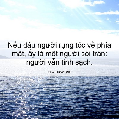 Picture 06 - Lê-vi 13:41 VIE - Nếu đầu người rụng tóc về phía - Bible Verse Picture