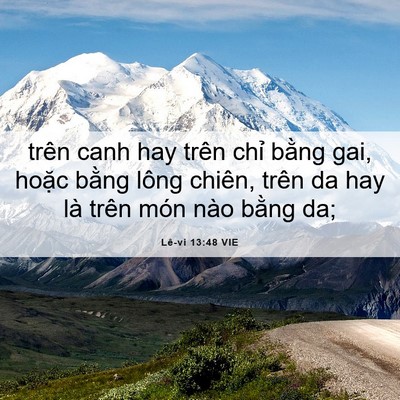 Picture 06 - Lê-vi 13:48 VIE - trên canh hay trên chỉ bằng gai, hoặc - Bible Verse Picture