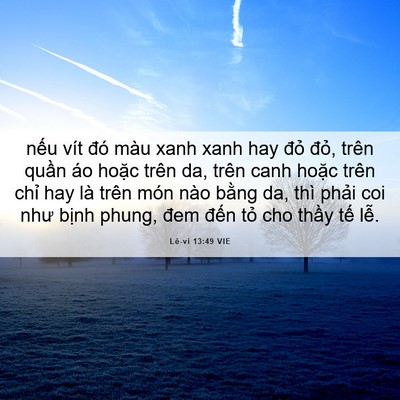 Picture 06 - Lê-vi 13:49 VIE - nếu vít đó màu xanh xanh hay đỏ đỏ, - Bible Verse Picture