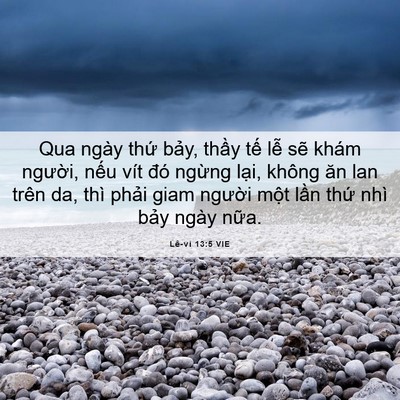 Picture 06 - Lê-vi 13:5 VIE - Qua ngày thứ bảy, thầy tế lễ sẽ - Bible Verse Picture