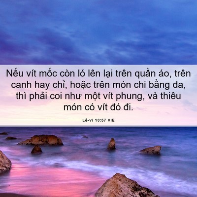 Picture 06 - Lê-vi 13:57 VIE - Nếu vít mốc còn ló lên lại trên quần - Bible Verse Picture