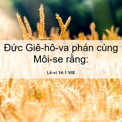 Picture 06 - Lê-vi 14:1 VIE - Đức Giê-hô-va phán cùng Môi-se - Bible Verse Picture