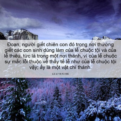 Picture 06 - Lê-vi 14:13 VIE - Đoạn, người giết chiên con đó trong - Bible Verse Picture