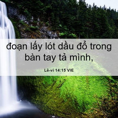 Picture 06 - Lê-vi 14:15 VIE - đoạn lấy lót dầu đổ trong bàn tay - Bible Verse Picture